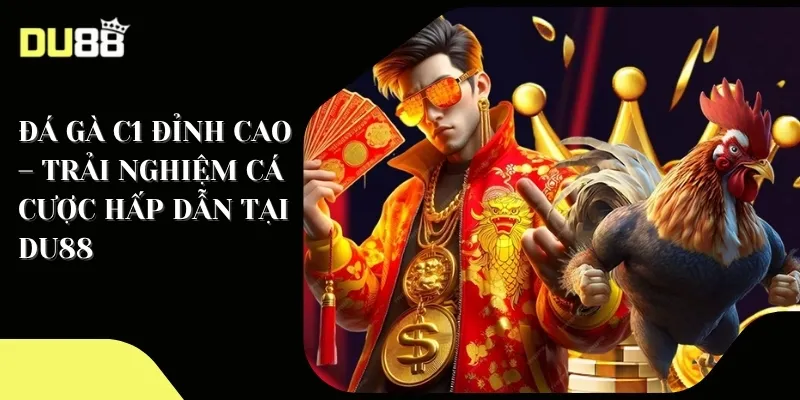 Đá gà C1